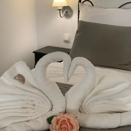 Mudra Sova Banska Stiavnica